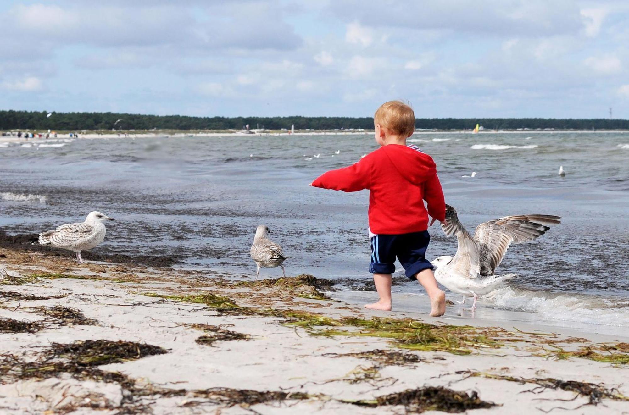 Strandhafer An Der Seebruecke ツィングシュト エクステリア 写真